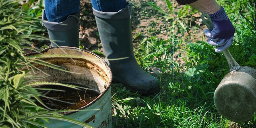 COME USARE IL COMPOST FATTO IN CASA PER COLTIVARE LA TUA CANNABIS