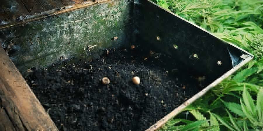 SEGNALI CHE INDICANO CHE IL TUO COMPOST È PRONTO