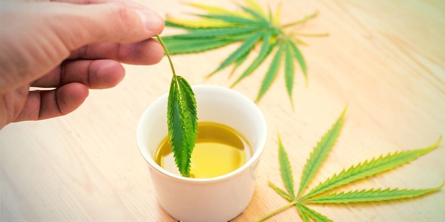 Edibili Concentrati Di Cannabis: Far Macerare in un Grasso a Vostra Scelta