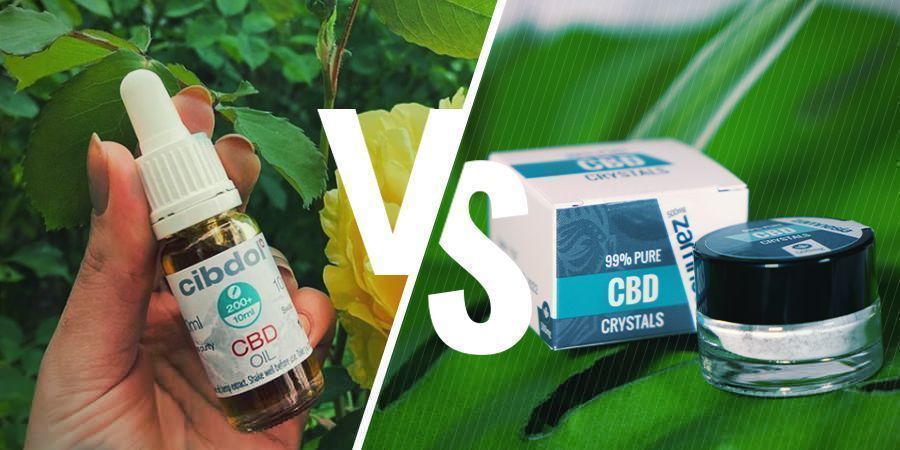 CBD a Spettro Completo vs CBD Isolato