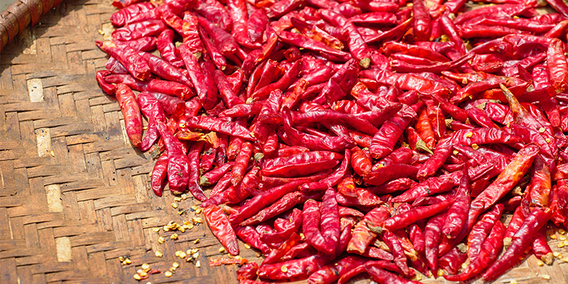 Cosa fare dopo il raccolto