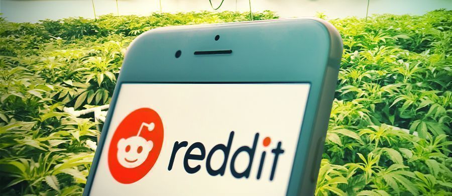 Perché E Come I Consumatori Di Cannabis Possono Usare Reddit Come Fonte Di Informazione Sull’erba