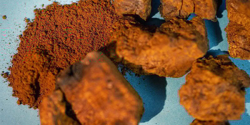 Funghi Chaga Interi — Freschi O Essiccati