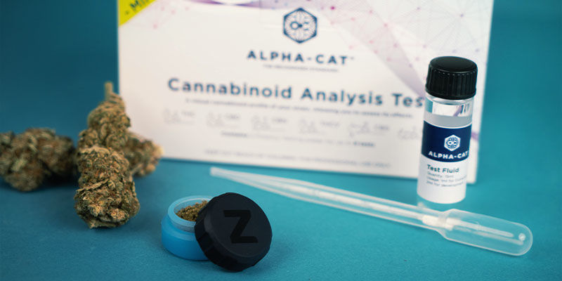 Quali Prodotti a Base di Cannabis Possono Essere Testati con il Mini Kit per Test dei Cannabinoidi di Alpha-Cat?