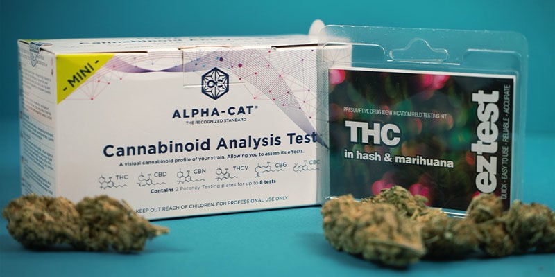 Come Testare i Livelli di THC e CBD nei Prodotti a Base di Cannabis