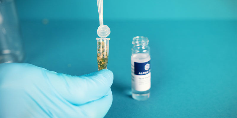 Test dei Cannabinoidi di Alpha-Cat: Estrai i cannabinoidi nel liquido