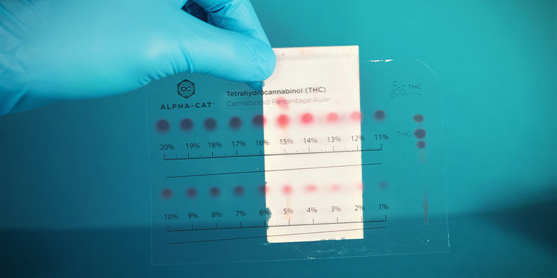 Quali Cannabinoidi Possono Essere Rilevati dal Mini Kit per Test dei Cannabinoidi di Alpha-Cat?