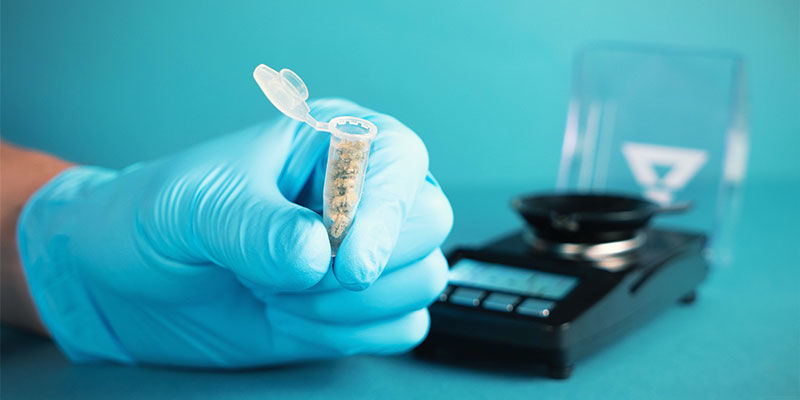 Perché Dovresti Testare i Livelli di THC e CBD nei Prodotti a Base di Cannabis?