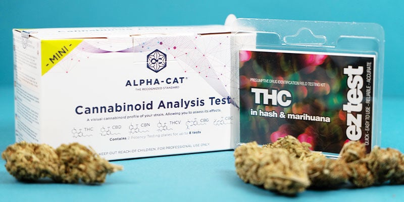 Come Testare I Livelli Di Thc E Cbd Nei Prodotti Derivati Dalla Cannabis