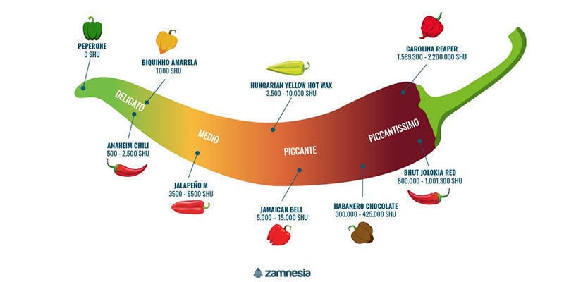 Quanto Sono Piccanti I Peperoncini Bhut Jolokia?