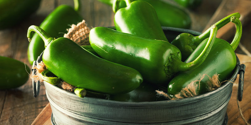 Inizia Oggi La Tua Coltura Di Peperoncini: Sei Ad Un Passo Dal Paradiso Del Jalapeño