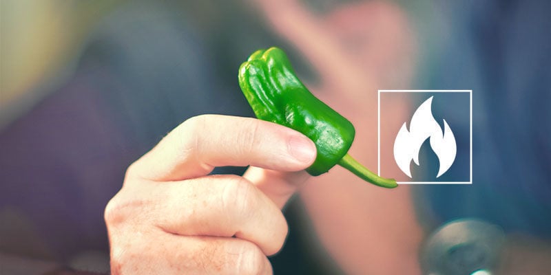 Quanto Sono Piccanti I Peperoncini Jalapeño?