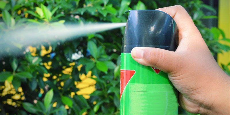 Repellenti Commerciali Per Lumache E Lumaconi