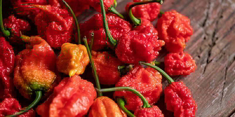 7 Pot Barrackpore: 1,3 milioni SHU