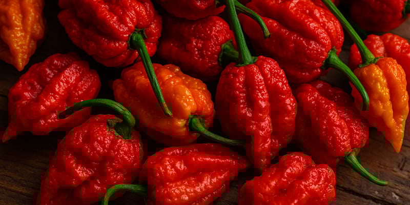 7 Pot Jonah: 1,2 milioni SHU