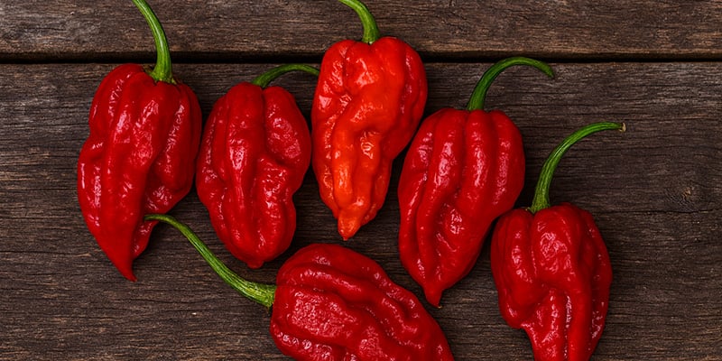 Dorset Naga: 1,59 milioni SHU