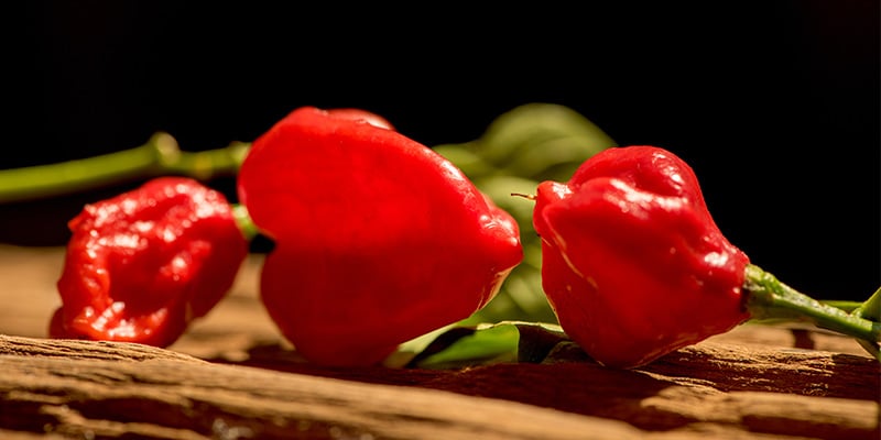 Red Savina Habanero: 577.000 SHU