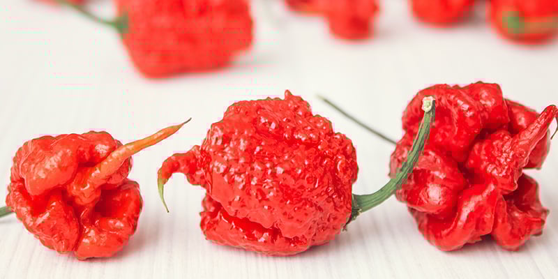 Trinidad Moruga Scorpion: 2 milioni SHU