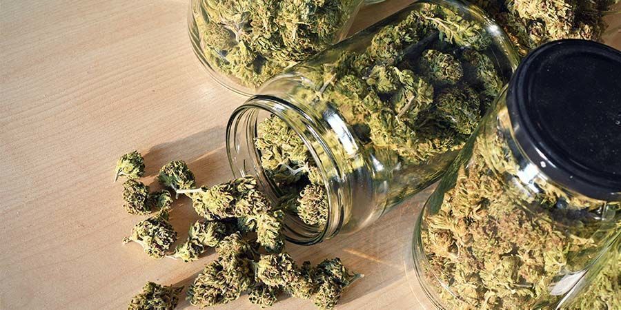 Le Migliori Varietà di Cannabis Ricreativa