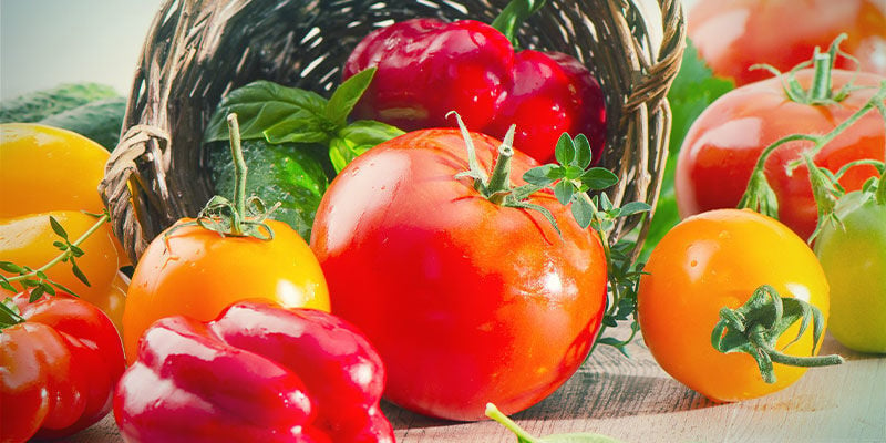 Pomodori E Peperoncini Possono Essere Coltivati Insieme?