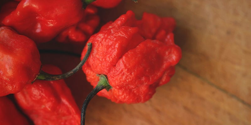 Siete Pronti Per I Carolina Reaper?