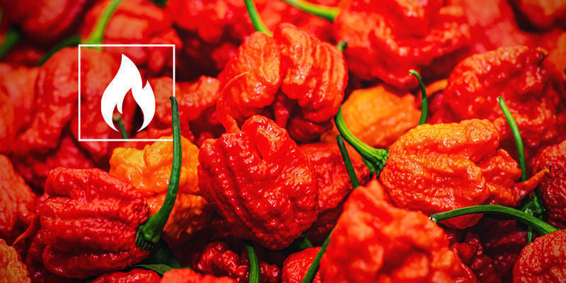 Quanto È Piccante Il Carolina Reaper?