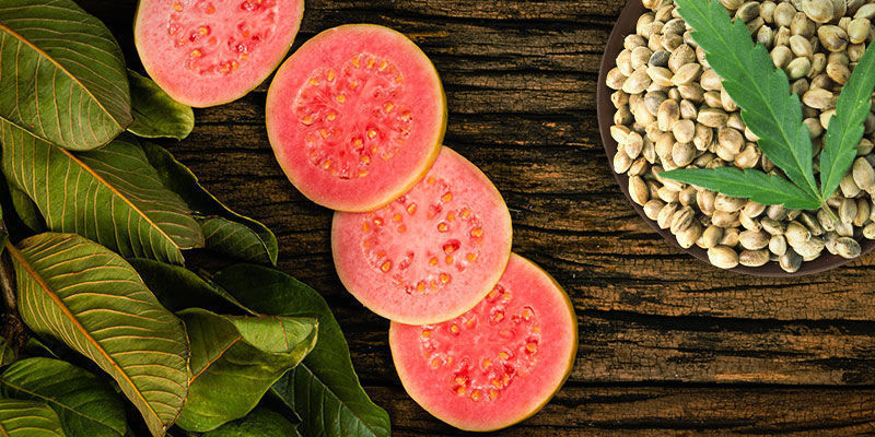 Frosted Guava: Sapori Ed Effetti