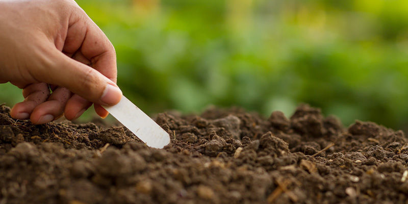 Migliorare i livelli di umidità del terreno