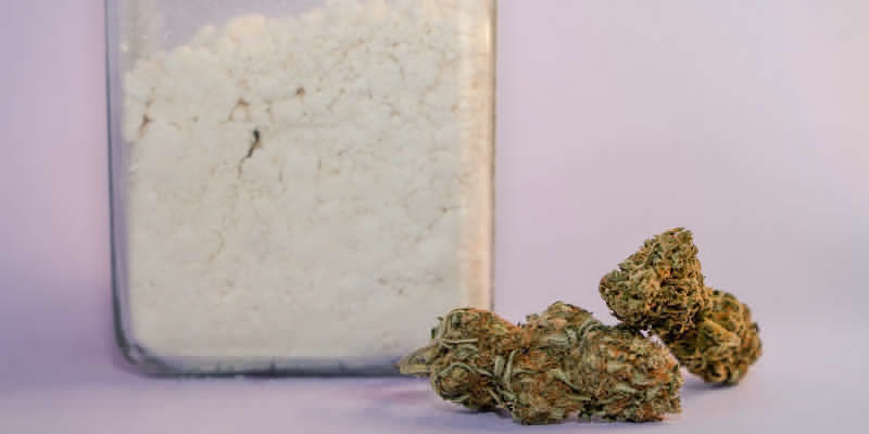 Cos’è esattamente la polvere di cannabis?