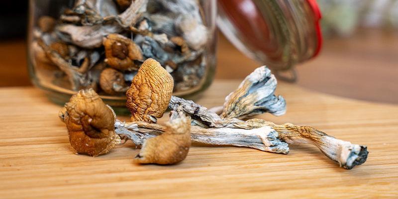 Come Preparare La Cioccolata Calda Con I Funghi