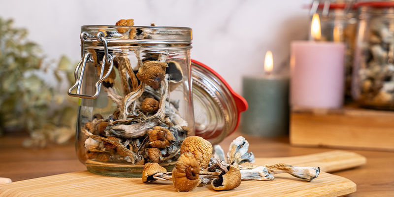 Scegliere I Funghi Adatti Per Una Cioccolata Calda