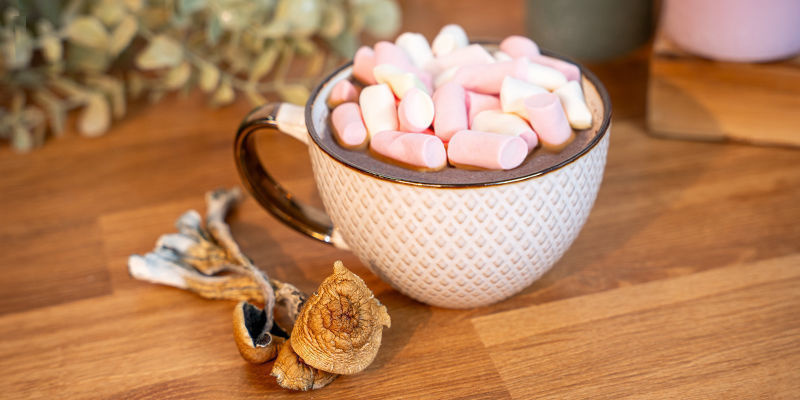 Cos'È Il Cioccolato Ai Funghetti?