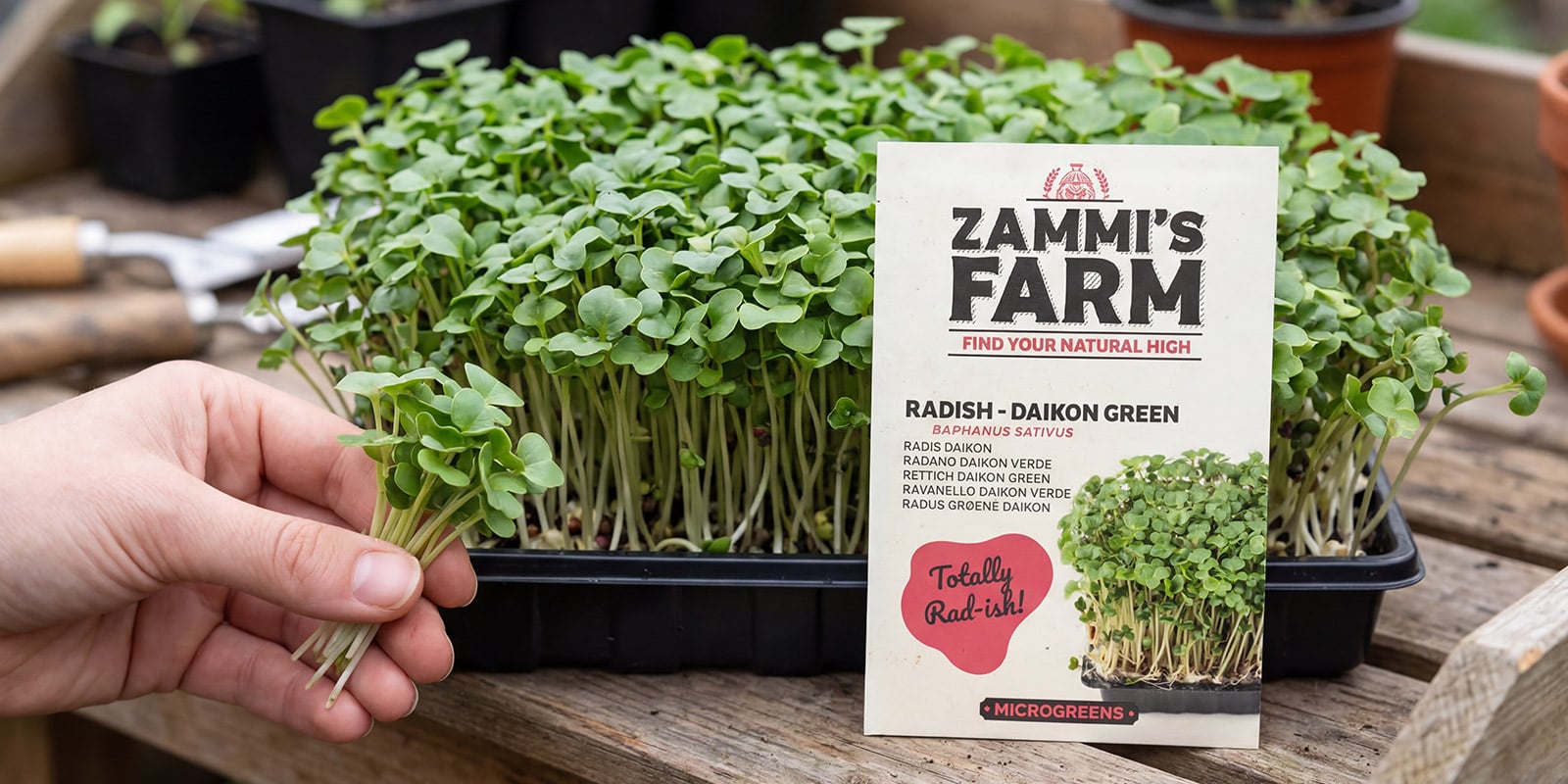 Microgreens