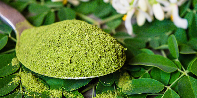 Inizia Oggi Stesso Ad Ottenere I Benefici Della Moringa