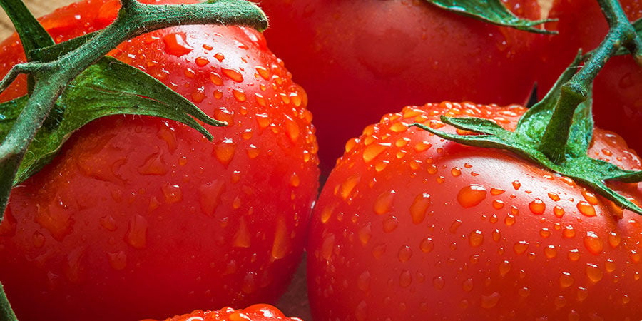 Perché coltivare i pomodori?