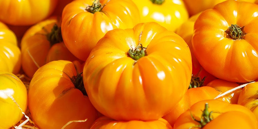 Pomodoro Cuore Di Bue Bianco