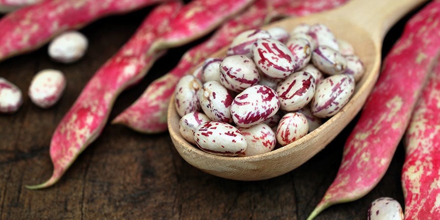 Fagioli Borlotti