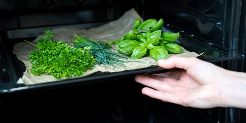 Essiccazione In Forno