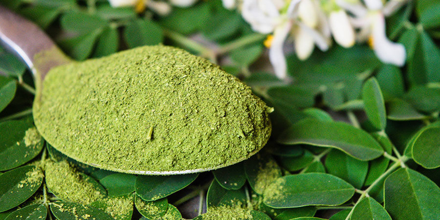 Moringa