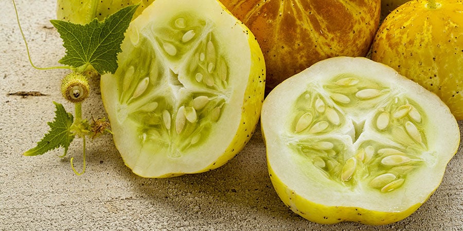 Cetriolo Lemon Apple/Cucumis Sativus