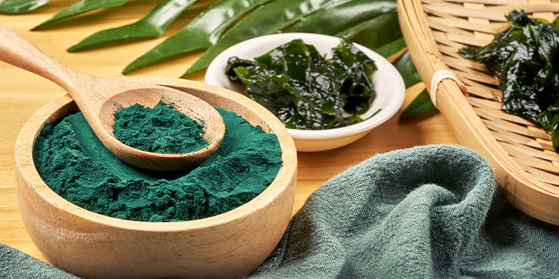 Spirulina: Un Organismo Antichissimo