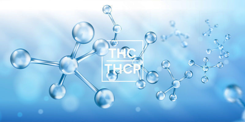 In cosa differisce il THCP dal THC?