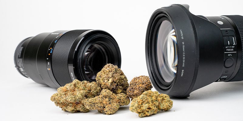 Quali lenti utilizzare per scattare fotografie alla cannabis?