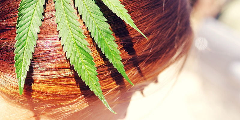 L'Uso Di Cannabis Provoca La Crescita O La Caduta Dei Capelli?
