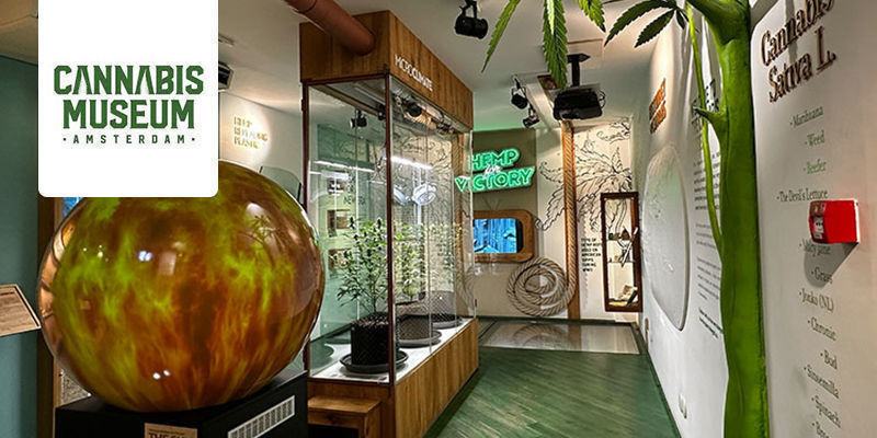 Cannabis Museum - Amsterdam, Netherlands