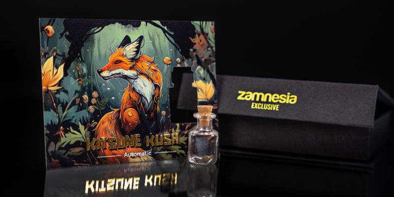 Livello 1 — Scouting Fox: Kitsune Kush Auto