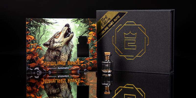 Livello 3 — Guardian Wolf: Howling Haze Auto