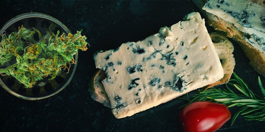 BLUE CHEESE: SAPORI & EFFETTI