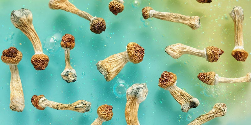 Biohacking con i funghi psichedelici