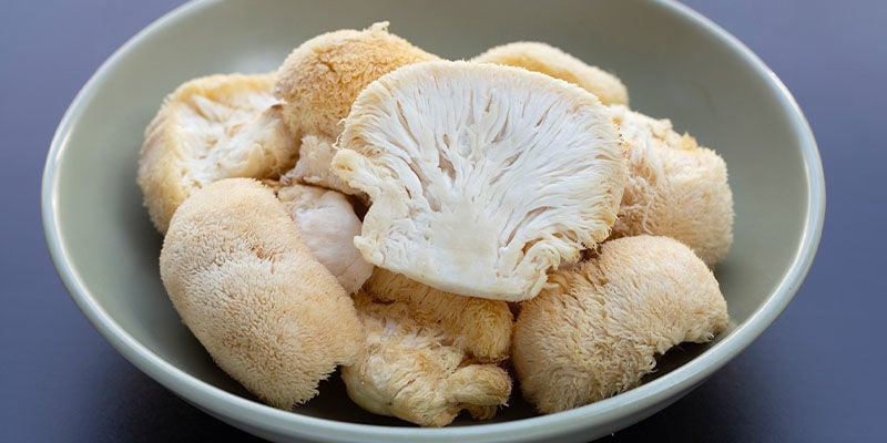 Benefici dei funghi funzionali a livello fisico e cognitivo